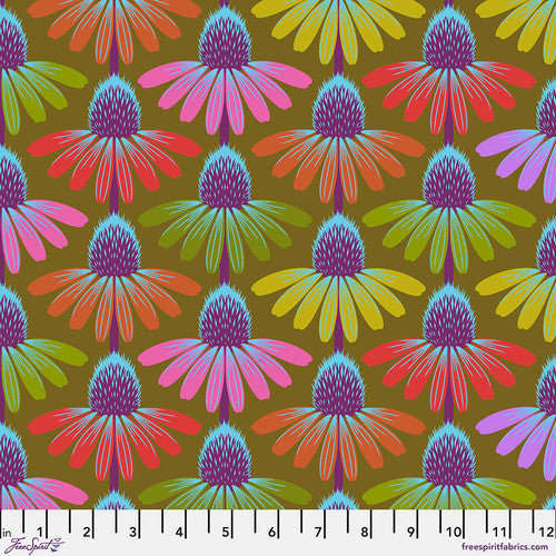 Echinacea Glow - Love Always, AM - Autumn
